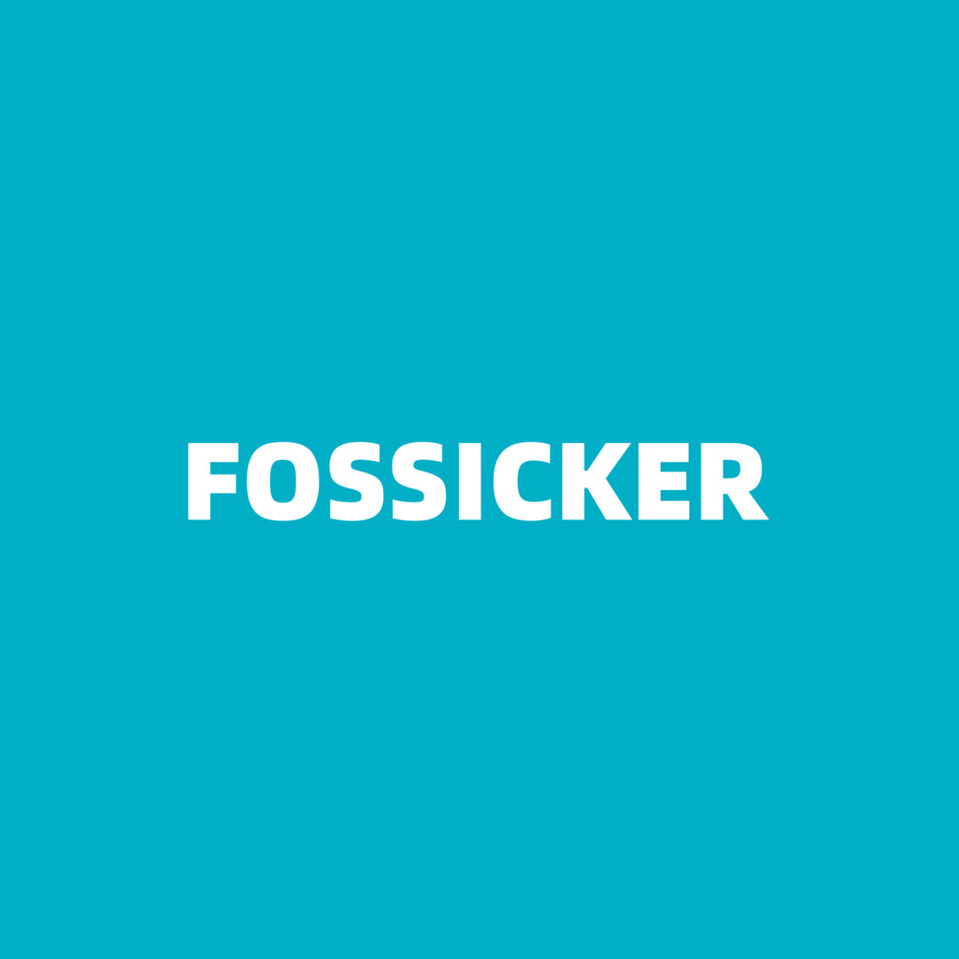 FOSSICKER2.png